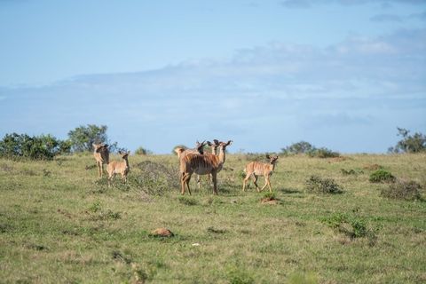 dsc00404