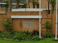 ascot